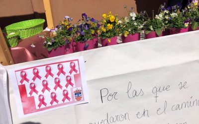 V CARRERA SOLIDARIA CONTRA EL CÁNCER DE MAMA